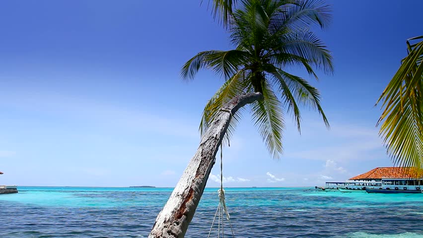 Tropical Paradise at Maldives with palms and blue sky 