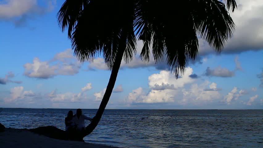 Romantic couple sitting next to palm tree at sunset 