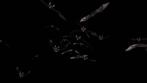 Bat Swarm - Front Flying Transition 2 - Alpha Channel - Aggressive vampire bats for your horror, Halloween, grunge, fairytale and fantasy projects… 3D animation with transparent back...