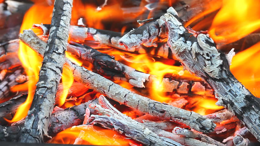 Fire wood for barbecue grill 02