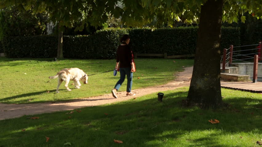 Young girl walking in the park with her labrador dog | Shutterstock HD Video #7377043
