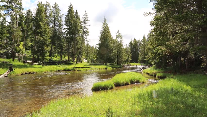 Enchanting River Flowing Through Park