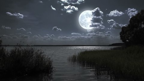 Nature full moon night landscape with forest lake.