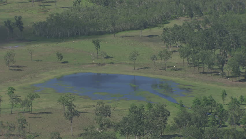 Small pond in a forest clearing in Daintree National Park