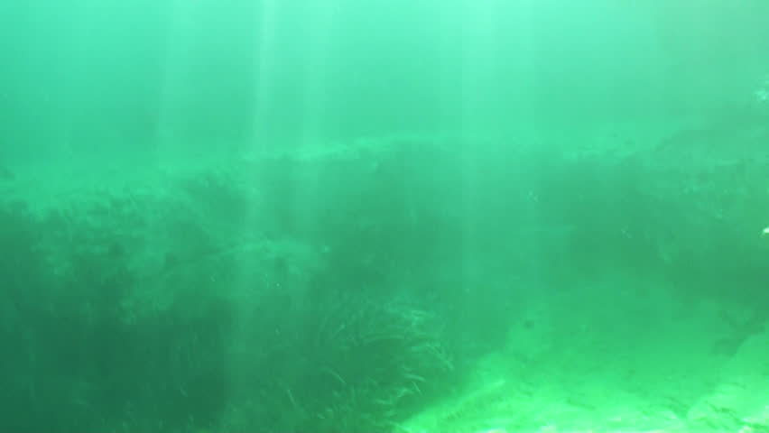 Underwater Footage. View from the Stock Footage Video (100 ...