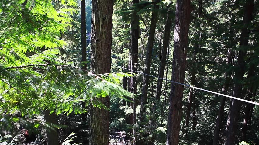 WHISTLER, BC ,CANADA - CIRCA September 2011 :dolly shot - man uses zipline behind angle