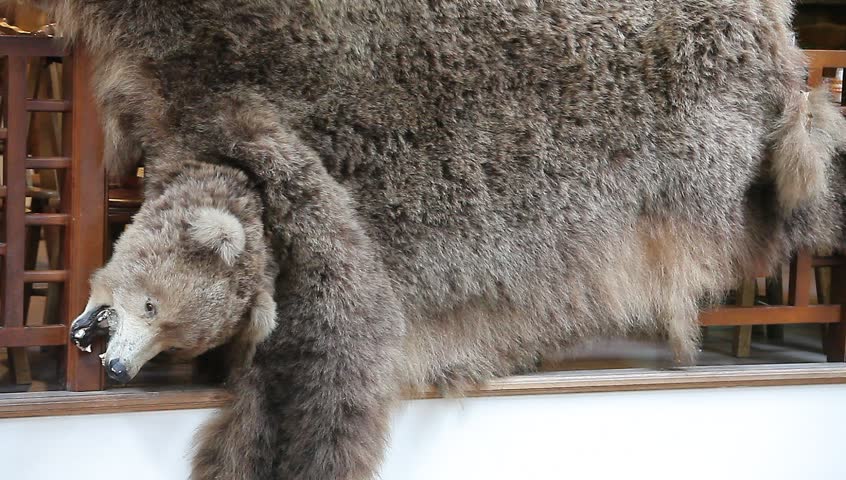 skin of a bear hanging in the interior of the restaurant