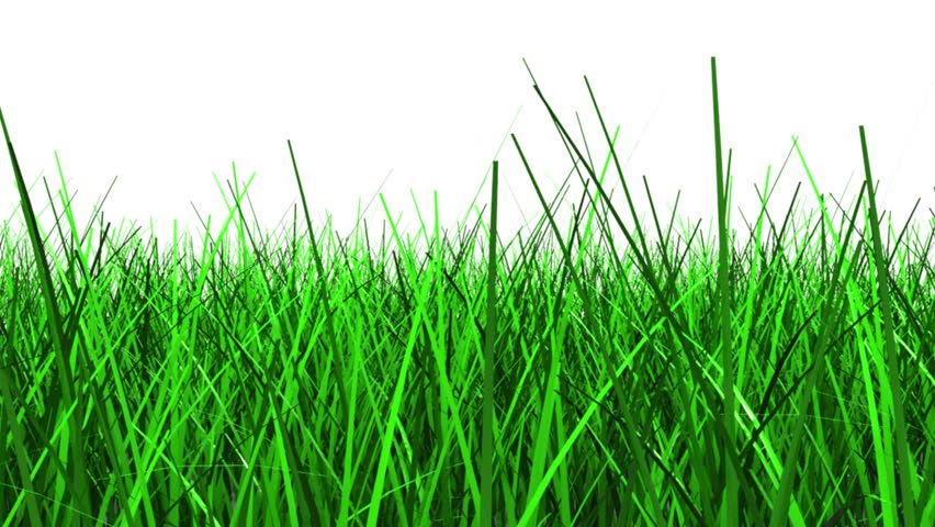 3d green grass background, isolated on white