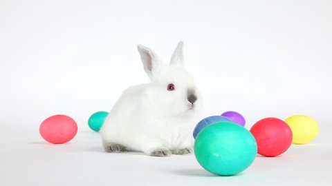 White baby bunny hopping amongst some brightly colored Easter eggs.
