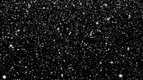 Animated falling detailed small snow flakes 3. Transparent background - Alpha channel embedded with HD PNG file.