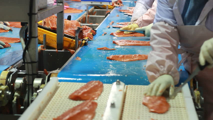 Midsection of workers