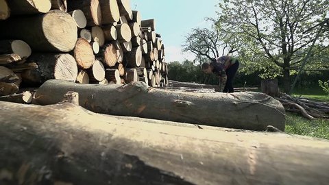 Putting logs on pile. Low angle shot with people storing wood for cold days.