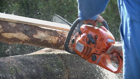 Chainsawing log at right length in slow motion. Blue collar worker cutting logs for winter, slow motion close up.