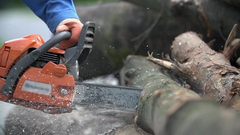 Cutting through wood with chainsaw in slow motion. Close up of man in blue work clothes and protective gloves holding motorized chainsaw.
