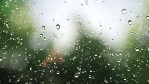 Beautiful rain drops fall in slow motion. Loop Vídeo Stock