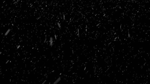 4K heavy windy snowfall Stock Video