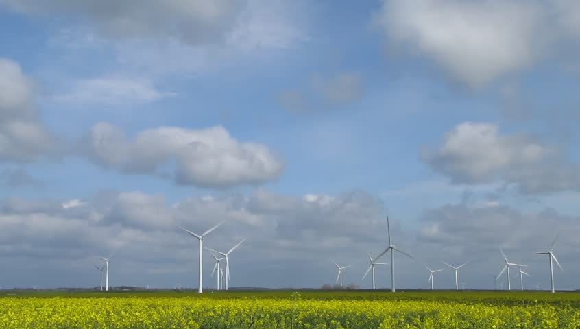 Wind turbines on yellow fields