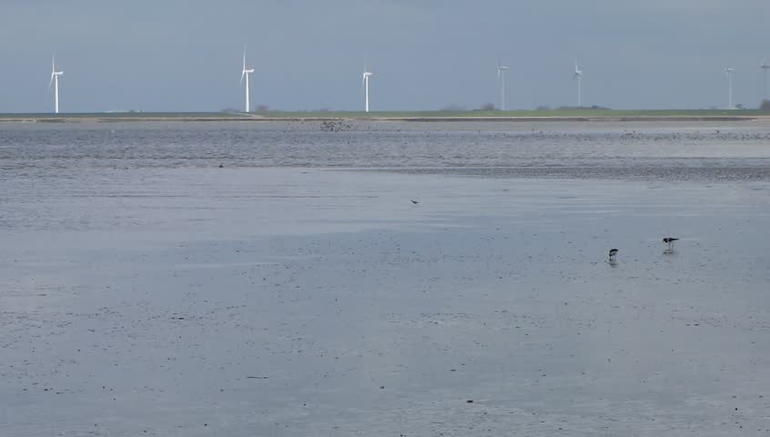 Wadden sea in Northern Germany