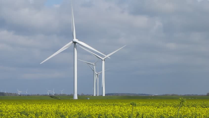 Wind turbines in yellow field