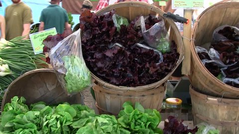 Steadicam shot of lettuce at a farmers' market స్టాక్ వీడియో