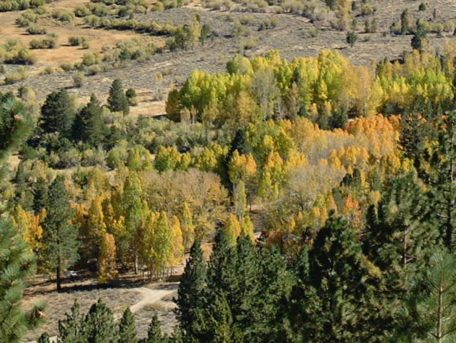 Overview of a valley in Yosemite national park