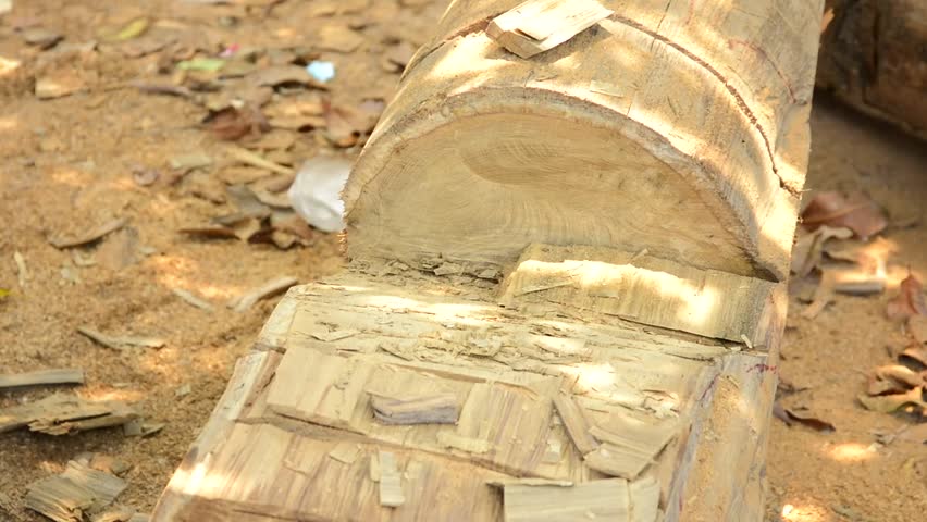 Carpenter cutting wood with axe.