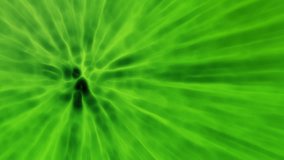 Green Aura Light Beams - background animation for home videos, vacation movies, business presentation and DVD or Blu-ray disc menus