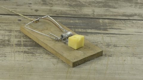 An animal trap, mousetrap or snare with some cheese when it is detonated.