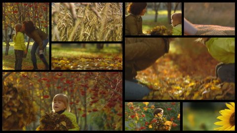 Collage Fall