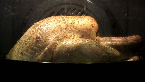 Turkey is roasting in the oven time lapse - ready indicator popping out at the end - Βίντεο στοκ