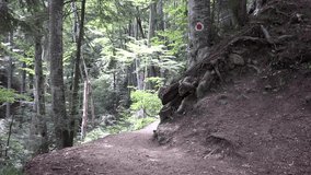 Tourist Walking Mountain Path Use Camcorder Shooting Wild Nature Mountain Images