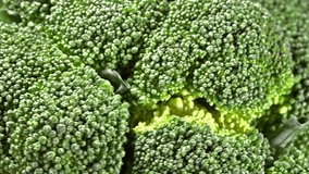 Fresh Broccoli as seamless loopable full HD video