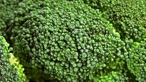 Broccoli (seamless loopable)