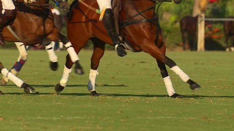 Footage of a polo match showing players riding over a ball.