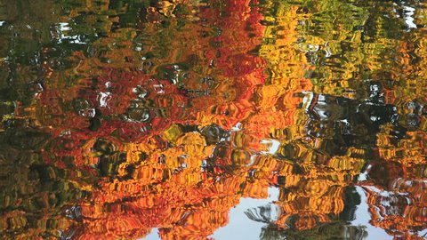 Reflection of autumn trees in the water. Autumn Landscape. Shot in 4K (ultra-high definition (UHD)), so you can easily crop, rotate and zoom, without losing quality! Real time.