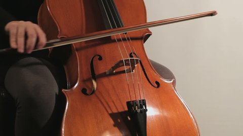 Close Hand Contrabass Player Playing Double Stock Photo 1625916196 ...