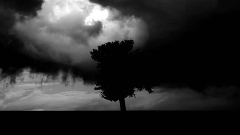Landscape timelapse of a lonely tree in the middle of a field on a cloudy rainy day.Differently graded versions available.
All unwanted elements such as birds,insects,lens dust, have been removed.