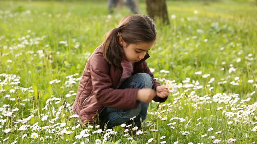 Little girl pick flowers in the meadow