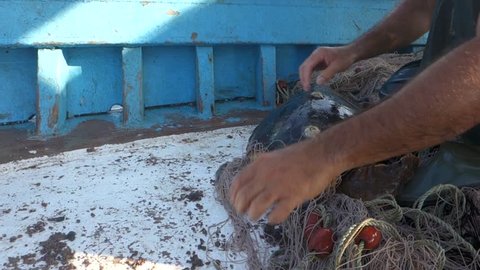 Releasing a turtle that was accidentally caught in a fishing nets