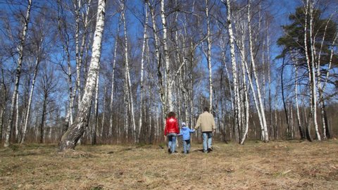 family of three having joined hands walks to spring birch grove from camera 