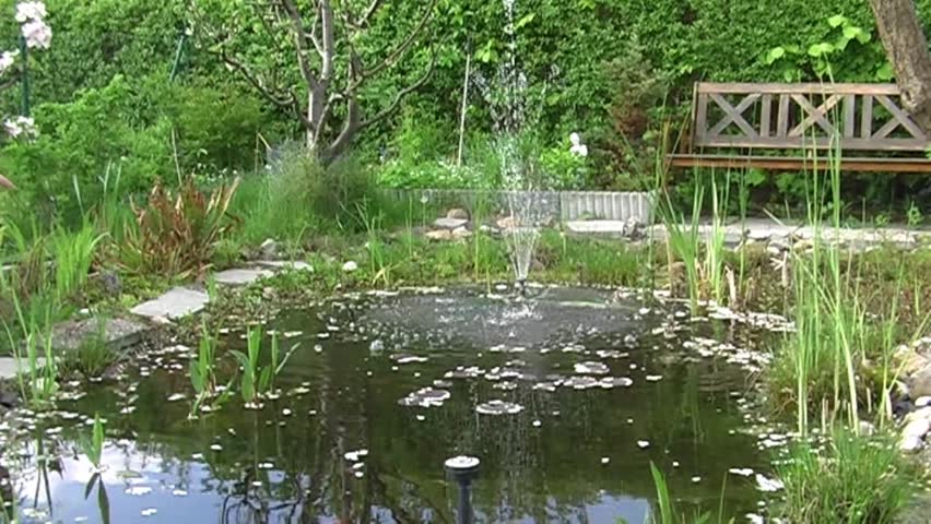 The garden pond