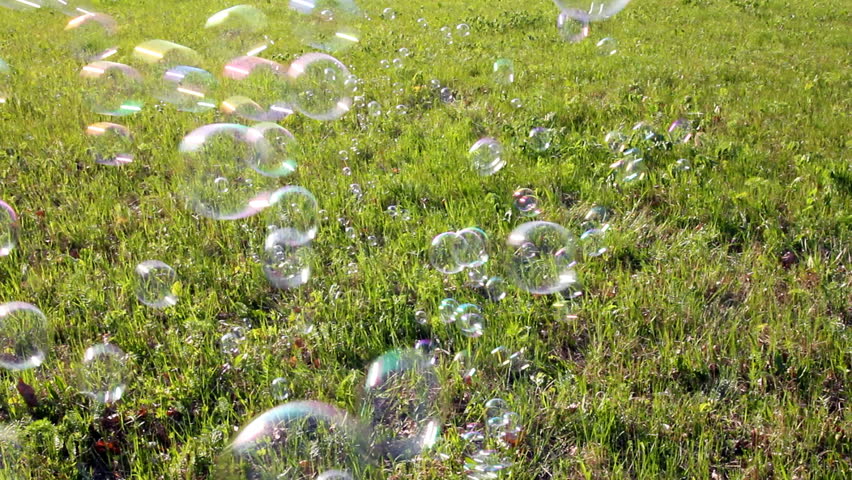 soap bubbles flying over green meadow