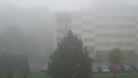 Fog In the Morning