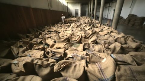 Workers accommodate a bunch of the coffee sacks inside factory of cereals