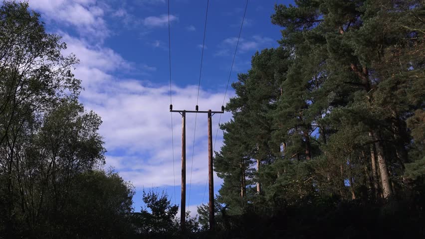 Electricity Pylons Crossing Through Trees Time Lapse Clouds