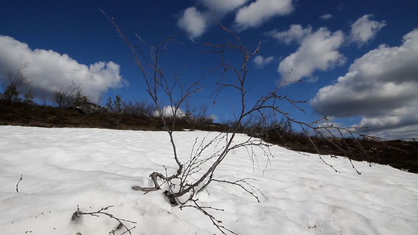 spring thawing of snow polar circle
