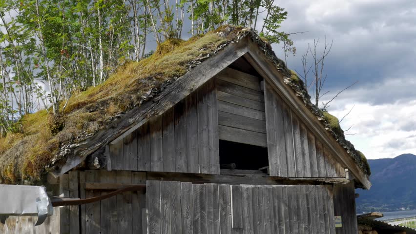 old abandoned barn moss roof 4k Stock Footage Video (100% Royalty-free