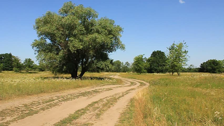 Bicyclist