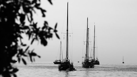 Sailing boats in the marina on peaceful summer day.