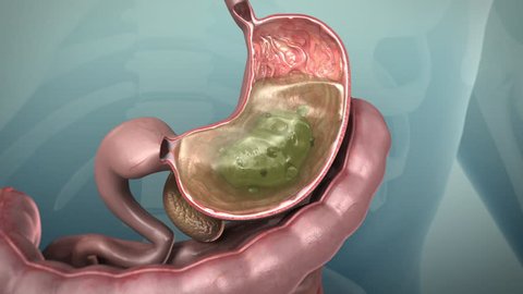 3D animation of the human gastrointestinal tract or GI tract, 4K Ultra HD. Human digestive system, stomach open and the acids and pepsin in the gastric juice